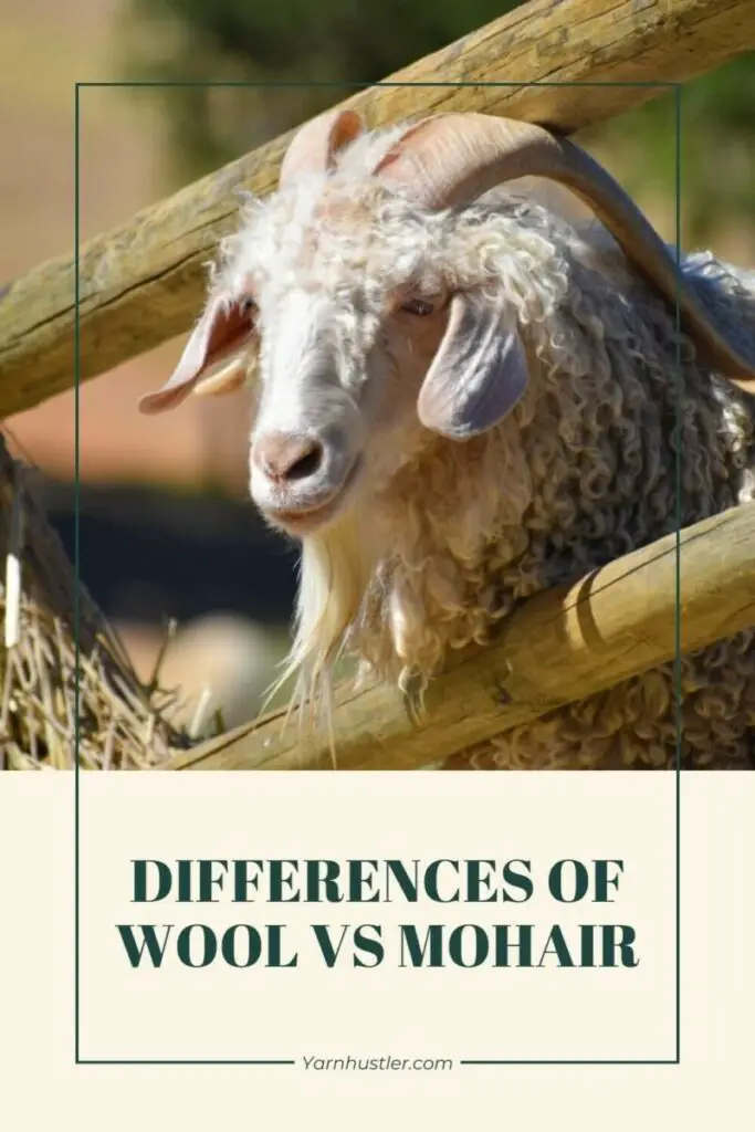 Differences of Mohair Vs Wool Which Fiber is Better Yarnhustler
