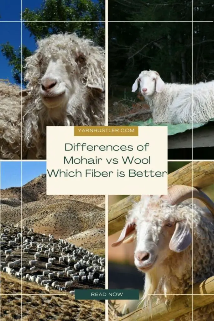 Differences of Mohair Vs Wool Which Fiber is Better Yarnhustler