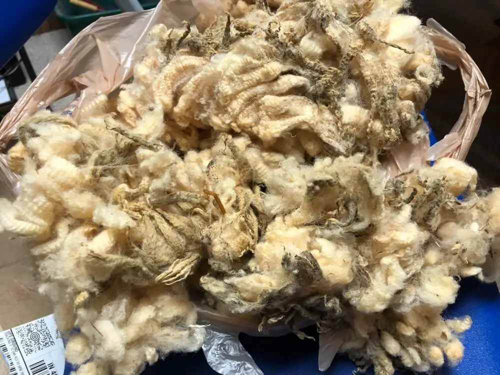 How to Clean Raw Wool